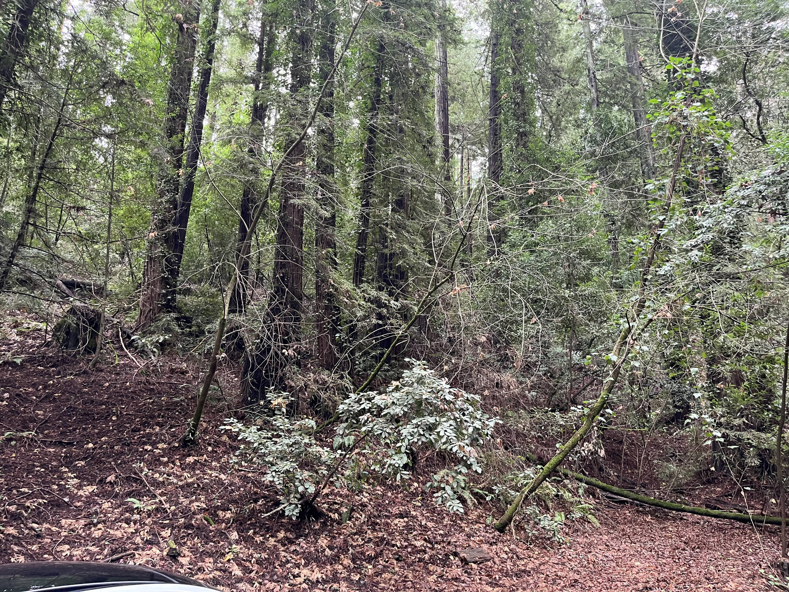 Opportunity/Residential/Land/Sale